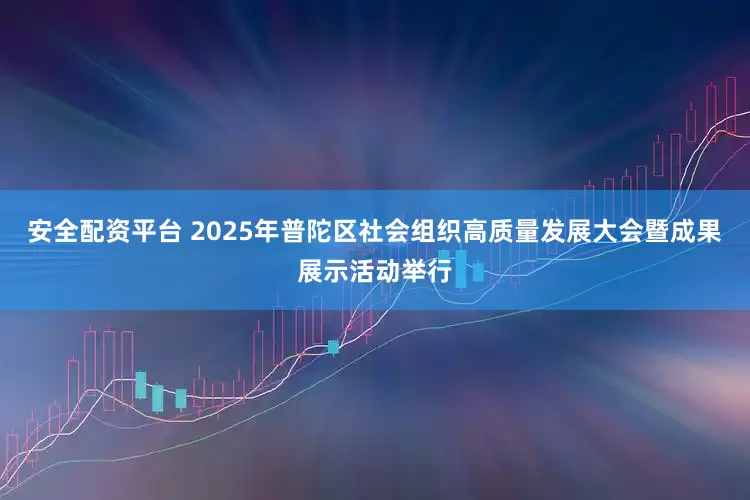 安全配资平台 2025年普陀区社会组织高质量发展大会暨成果展示活动举行