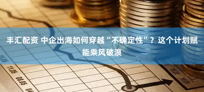 丰汇配资 中企出海如何穿越“不确定性”？这个计划赋能乘风破浪