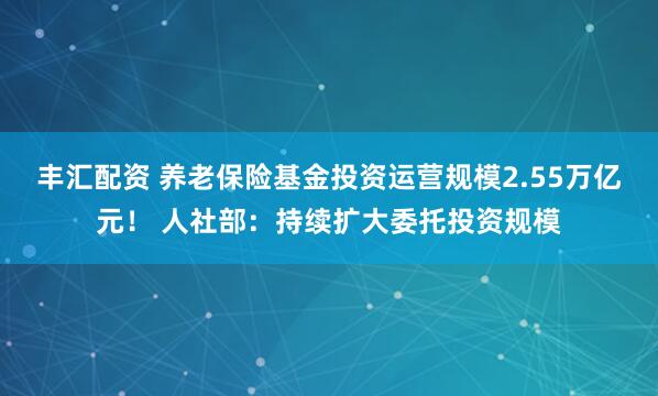 丰汇配资 养老保险基金投资运营规模2.55万亿元！ 人社部：持续扩大委托投资规模